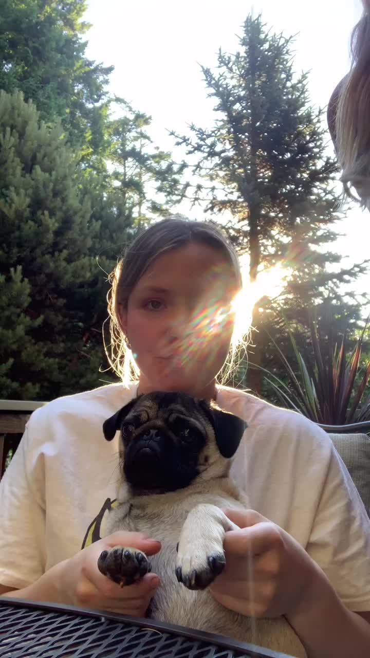 @The real Dave the pug🐶
