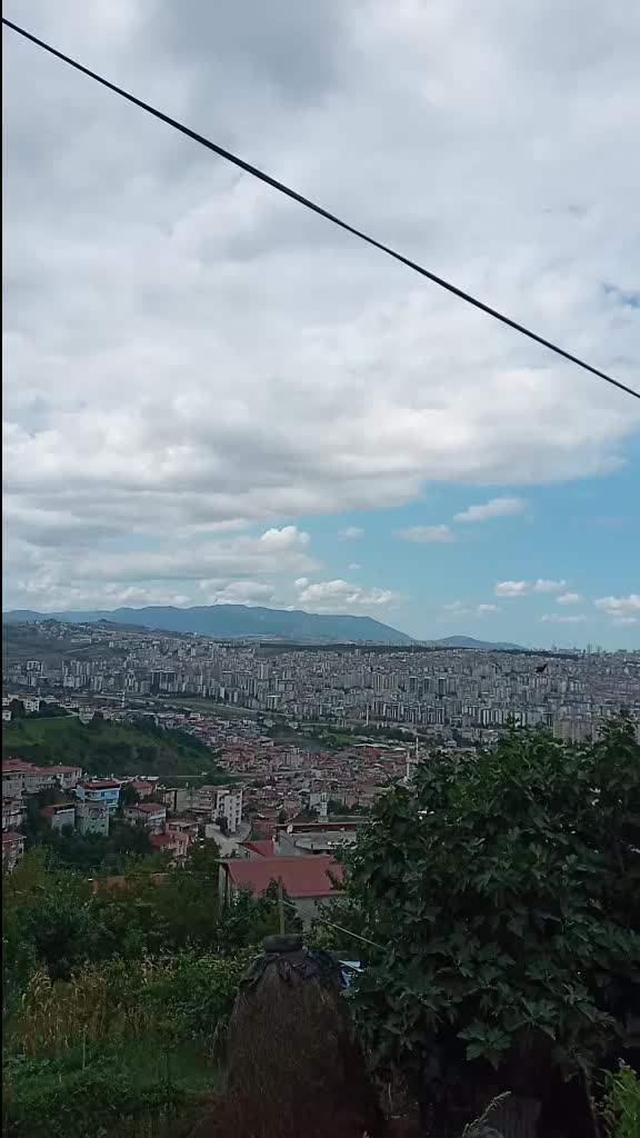 @elizan