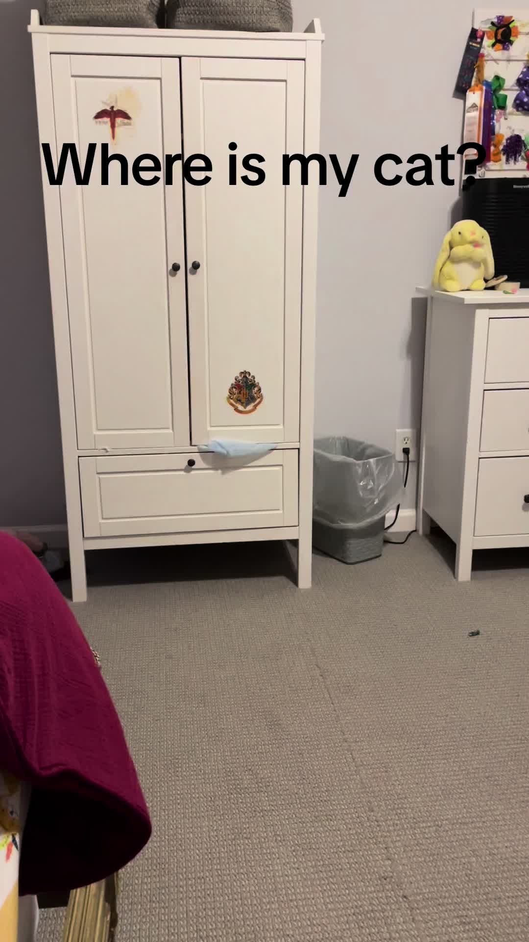 @Mojo