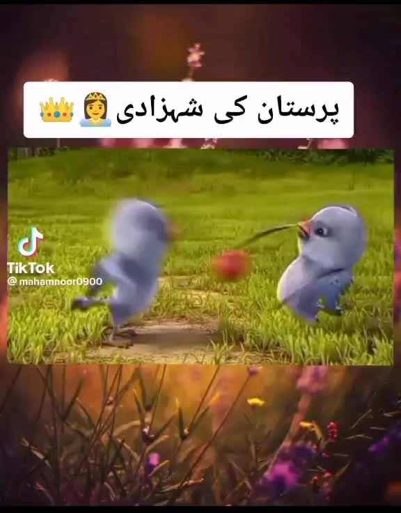 @ambreen2345678