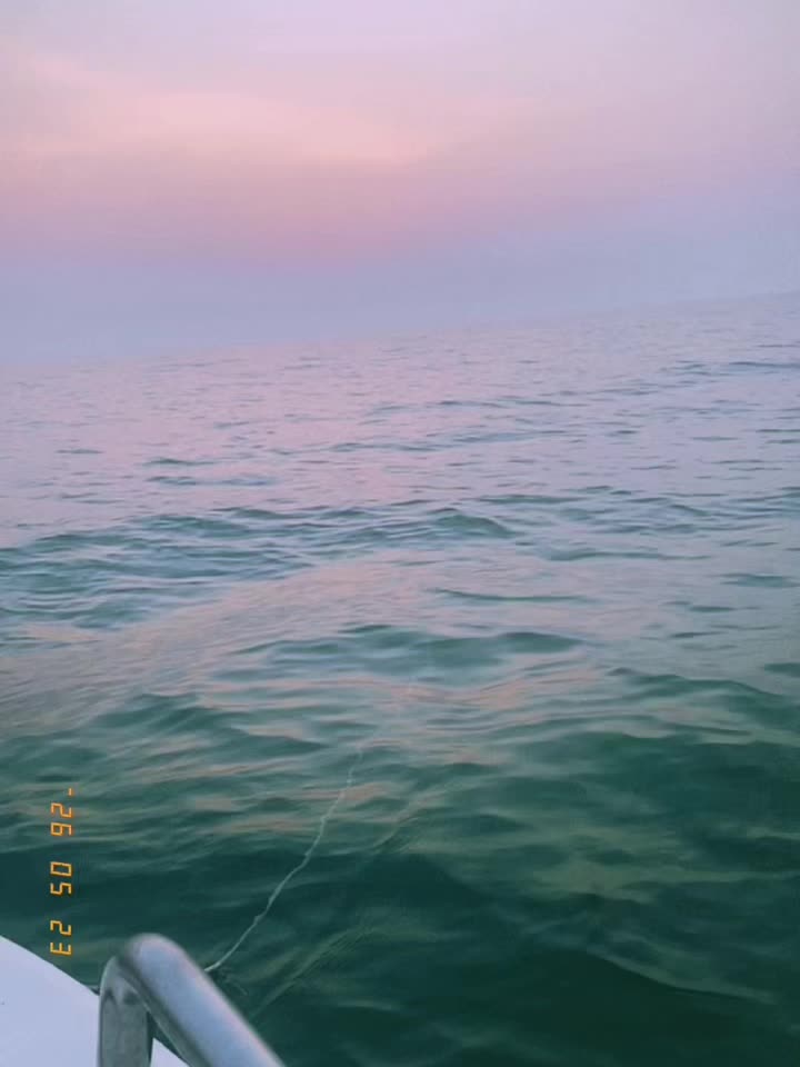 @_nemaa_