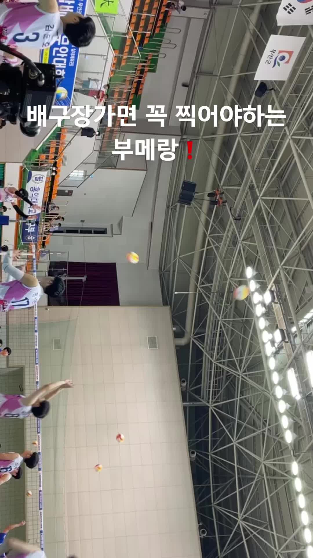 @korea_cheney