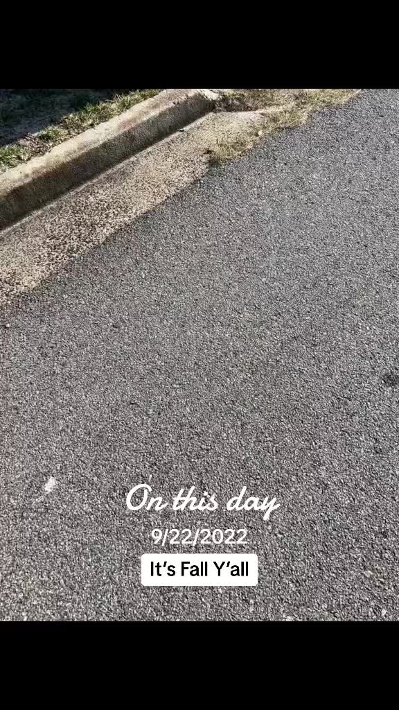 @CSRA Bin Cleaning