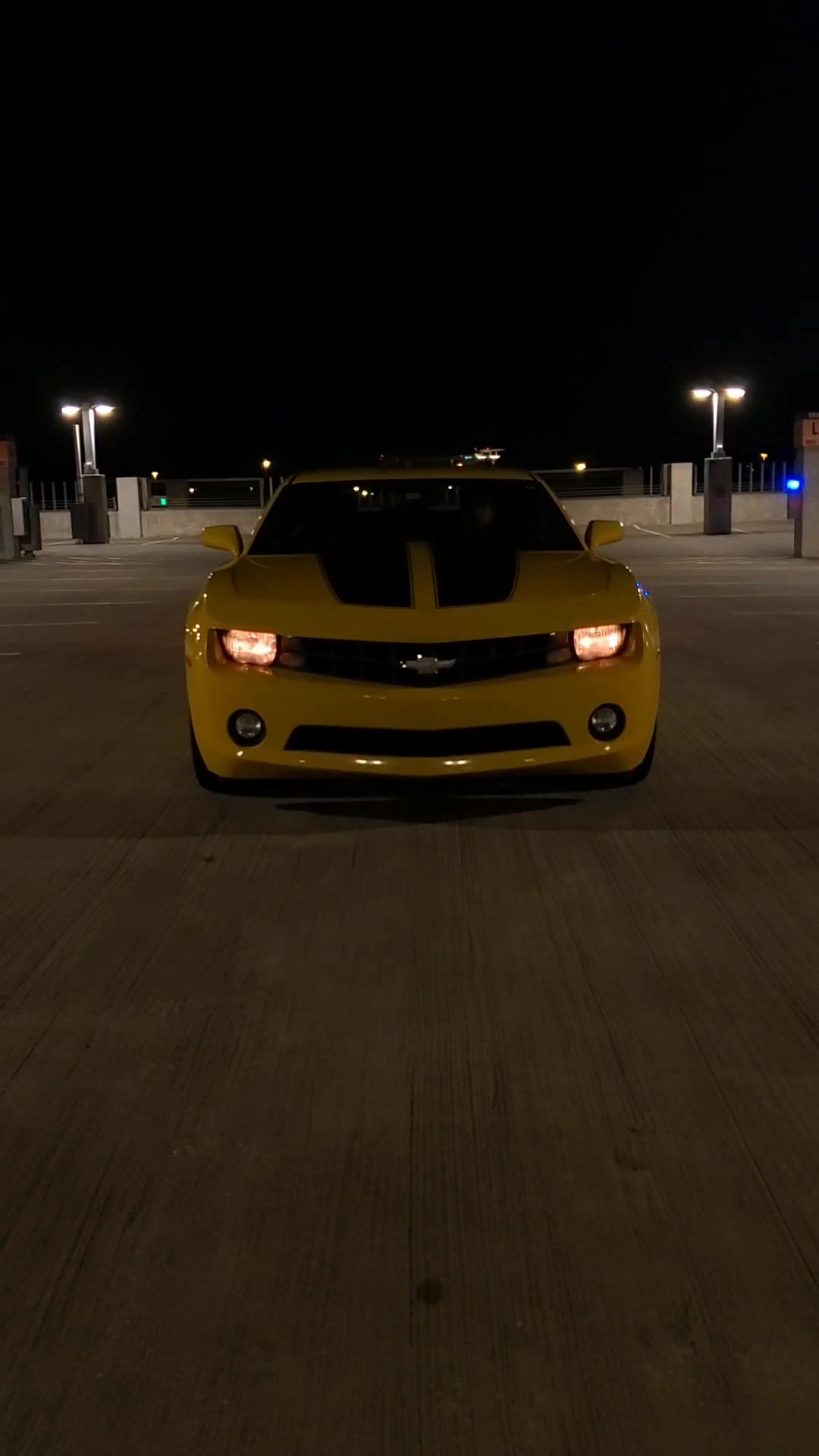 @Camaro Bee-127