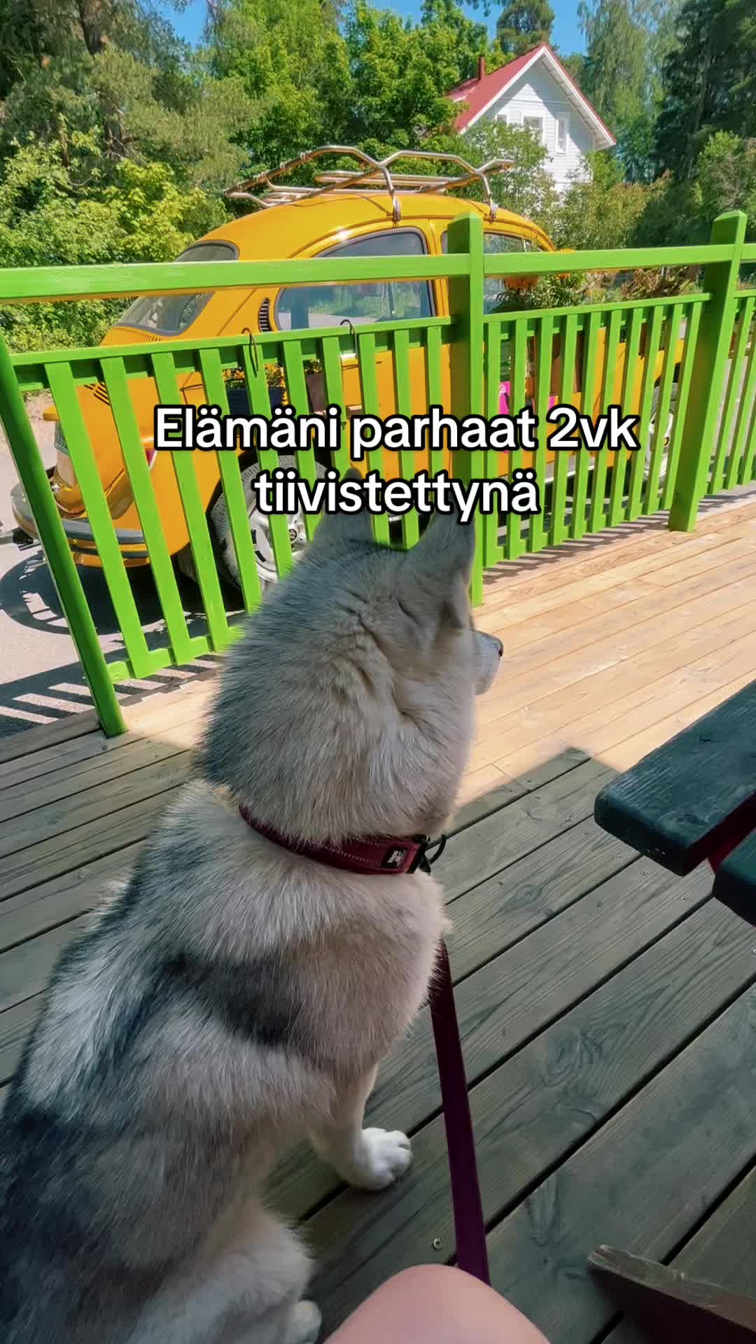 @Erikahen