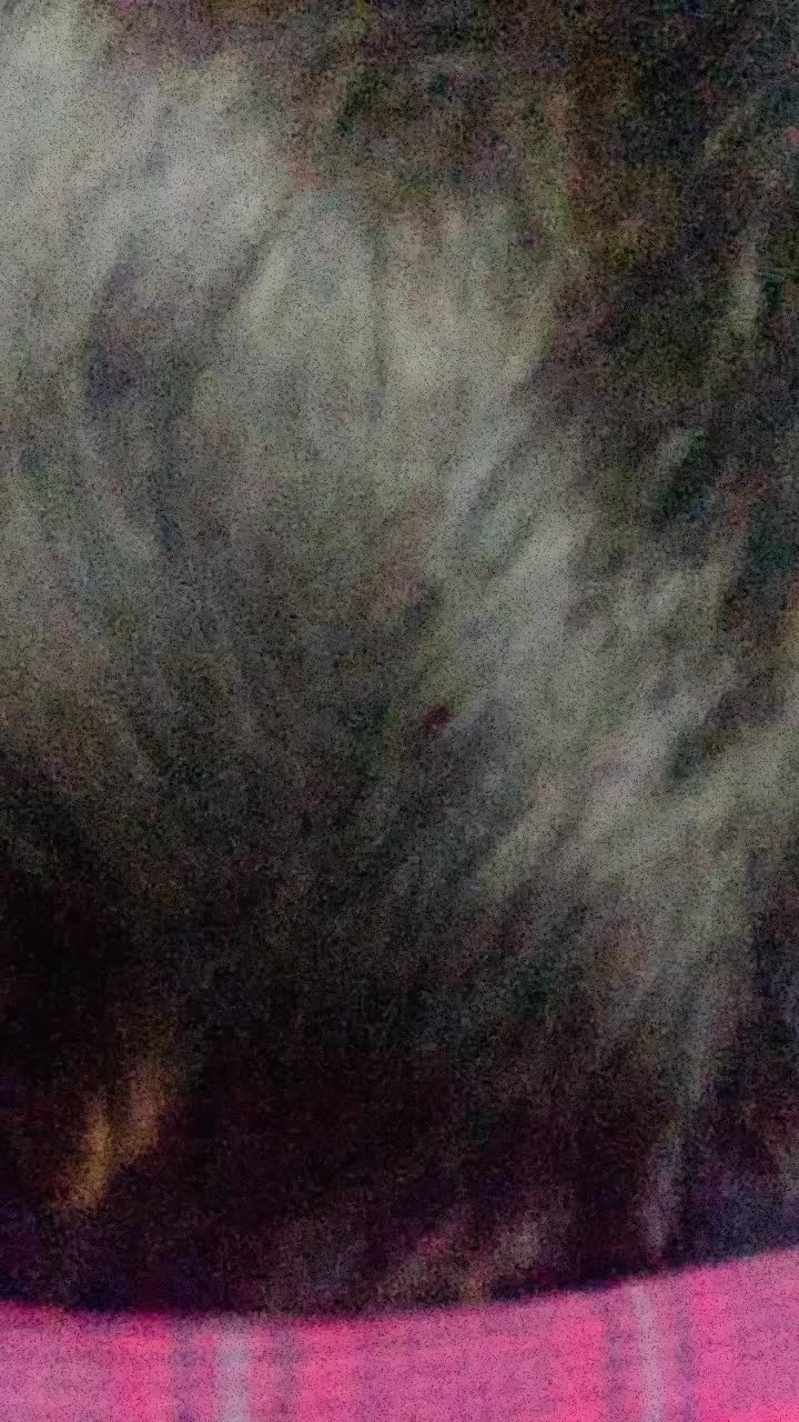 @DevilRabbit