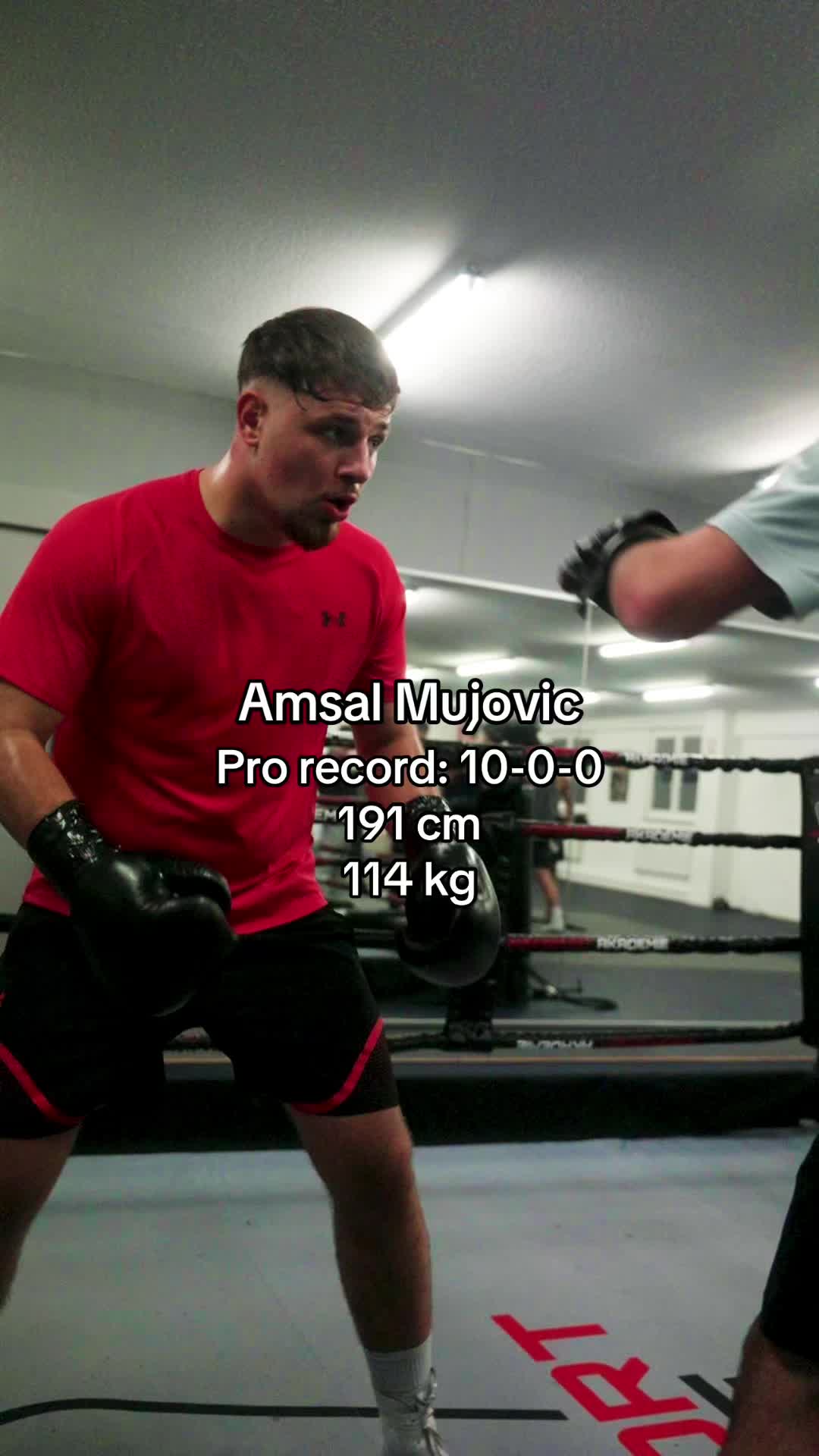 @Amsal Mujovic