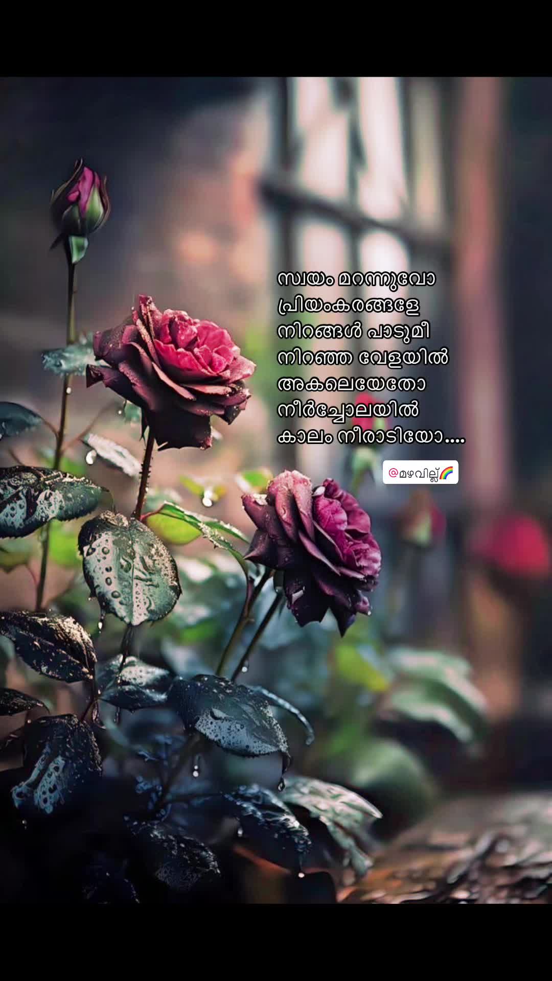 @മഴവില്ല്🌈
