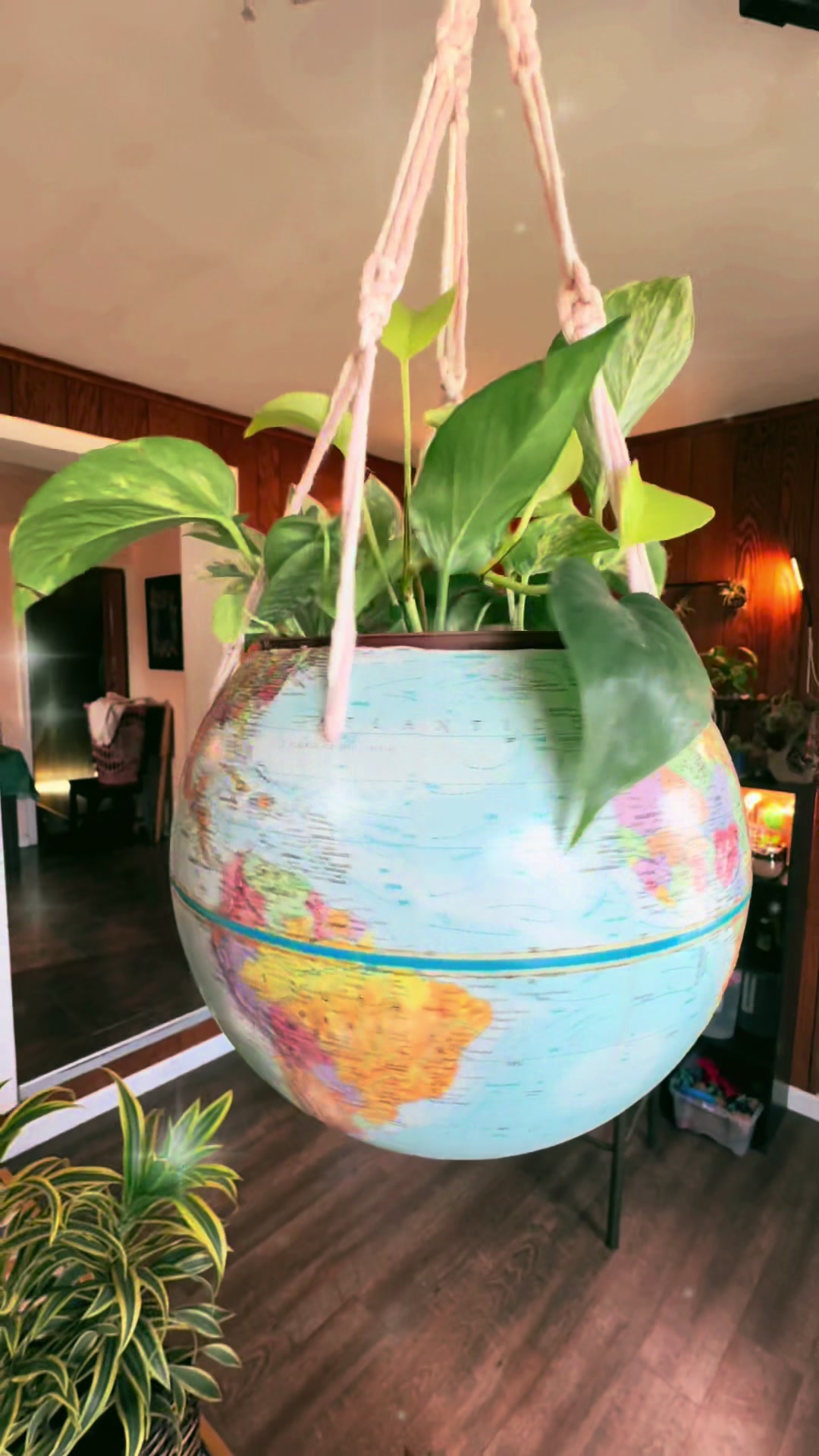 @Art-Plant-Upcycle