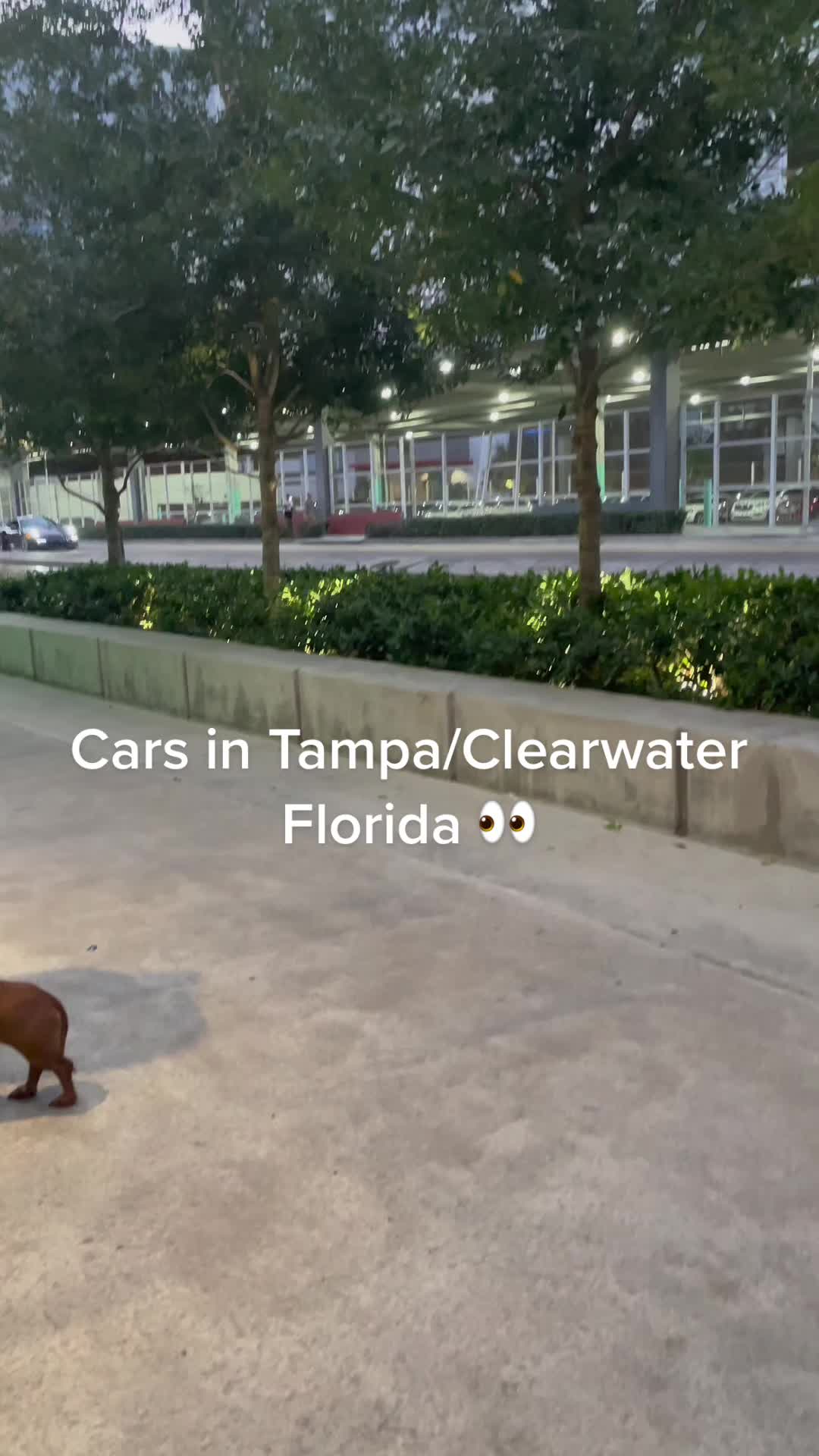 @Valley_Cruiser