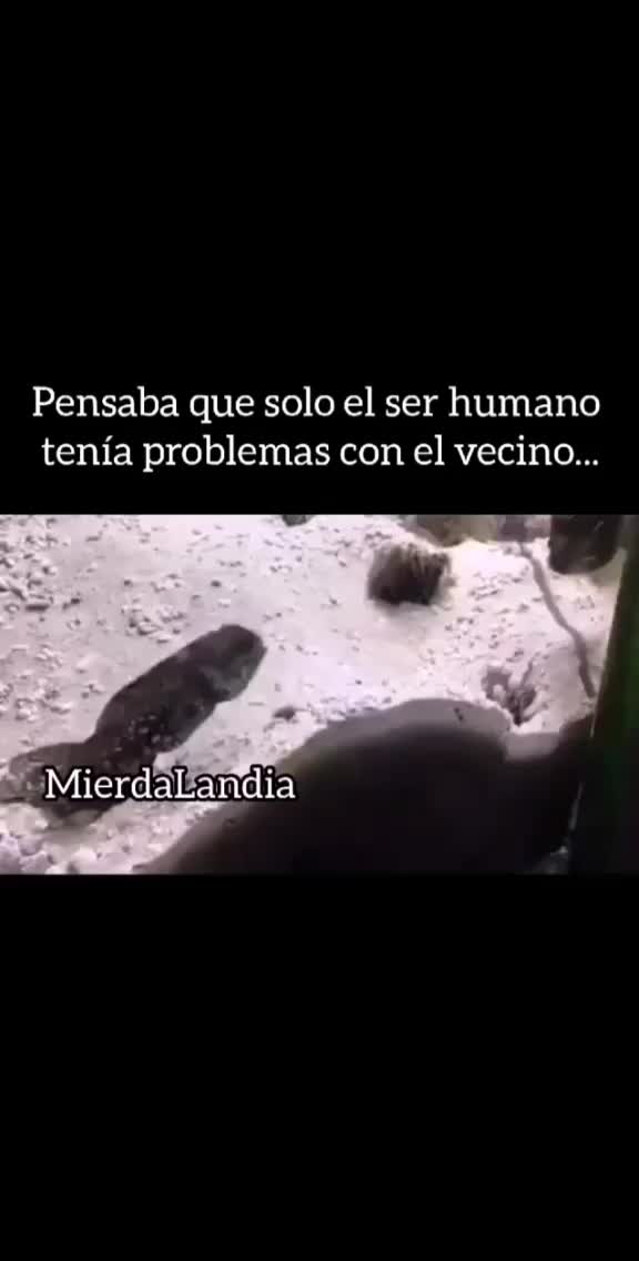 @David Barria Delgado