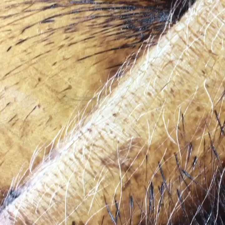 @Pyrography Dude