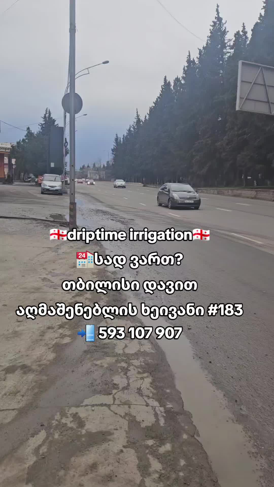 @rezo ghambarashvili