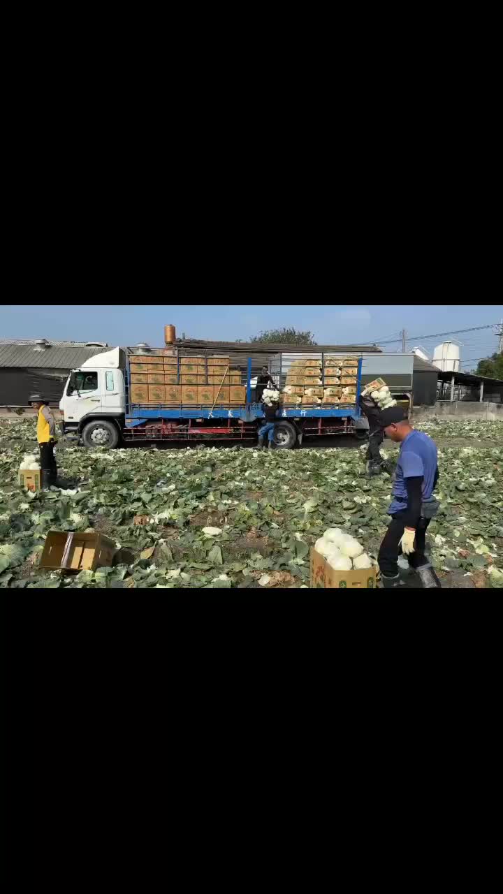 @Mười Tám Vũ