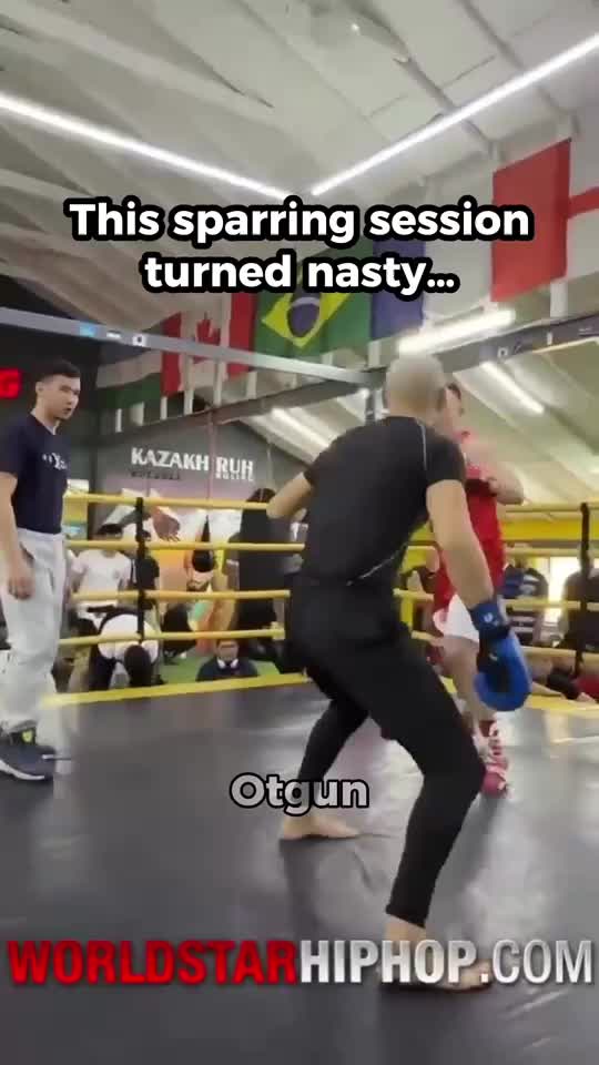 @otgun2024