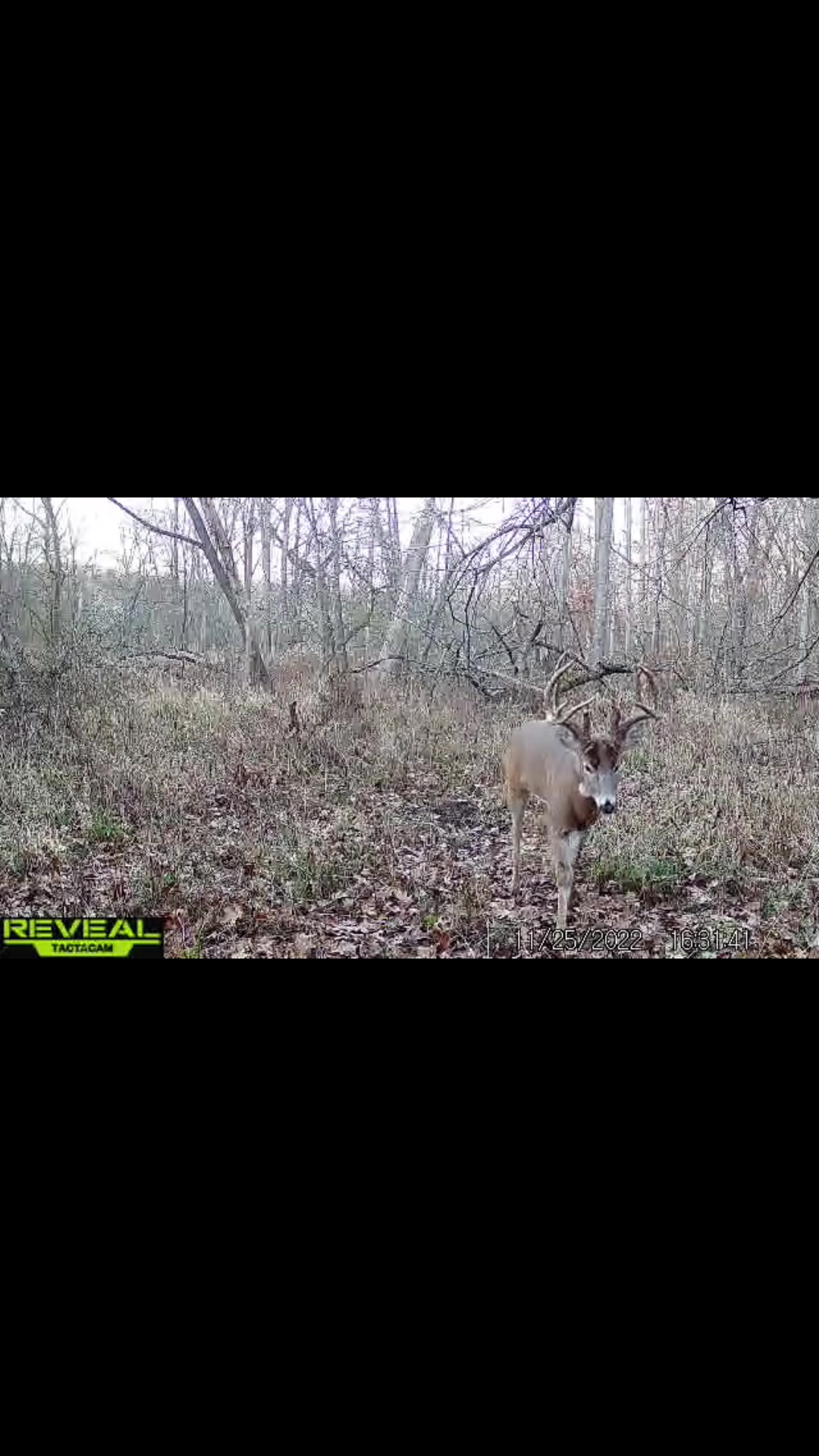 @Trophy Hollow Outfitters