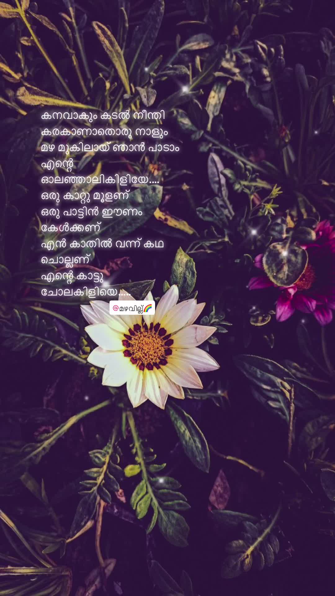 @മഴവില്ല്🌈