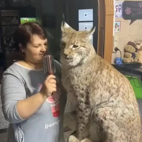 @Анна