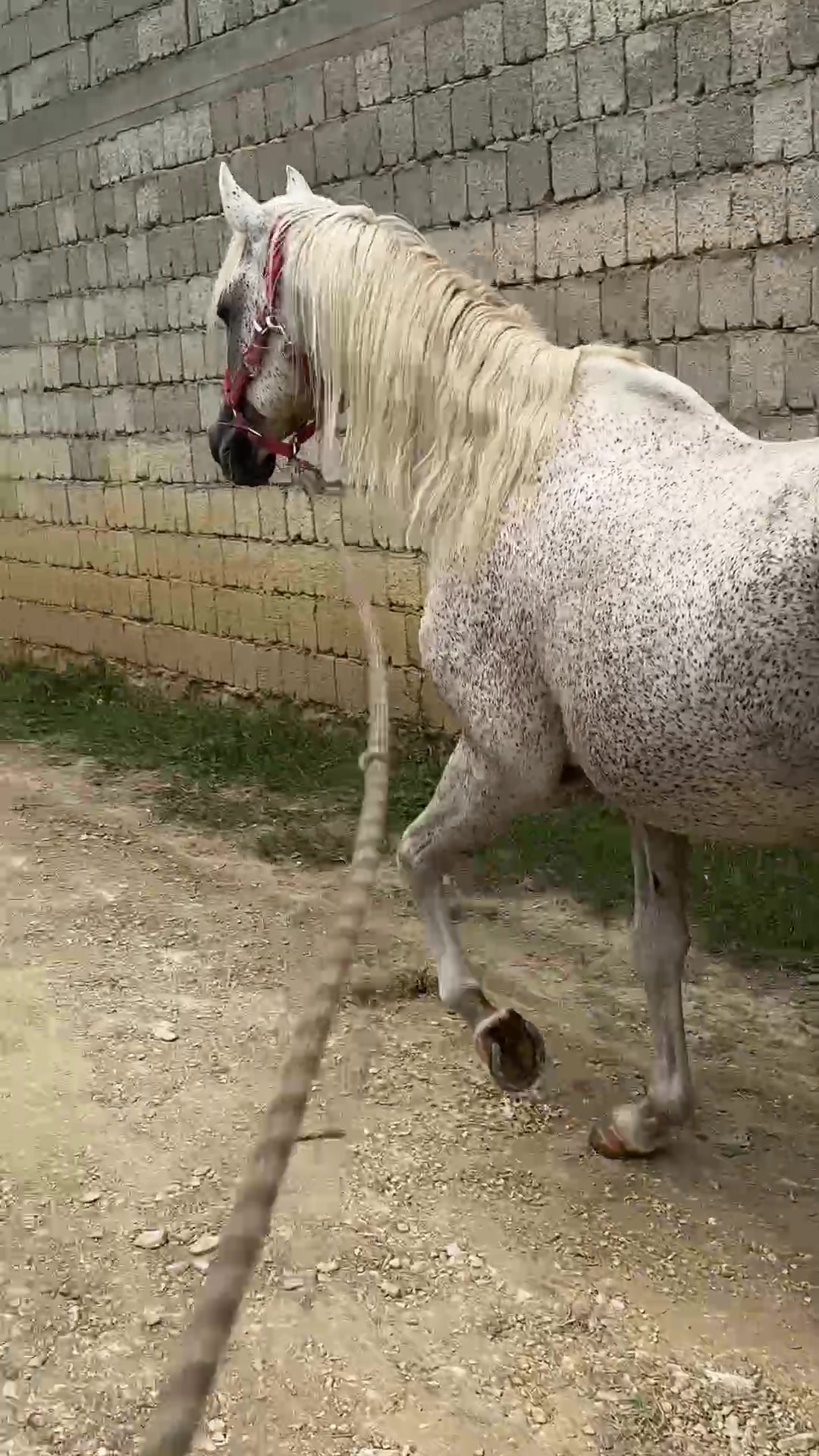@MakvinStud