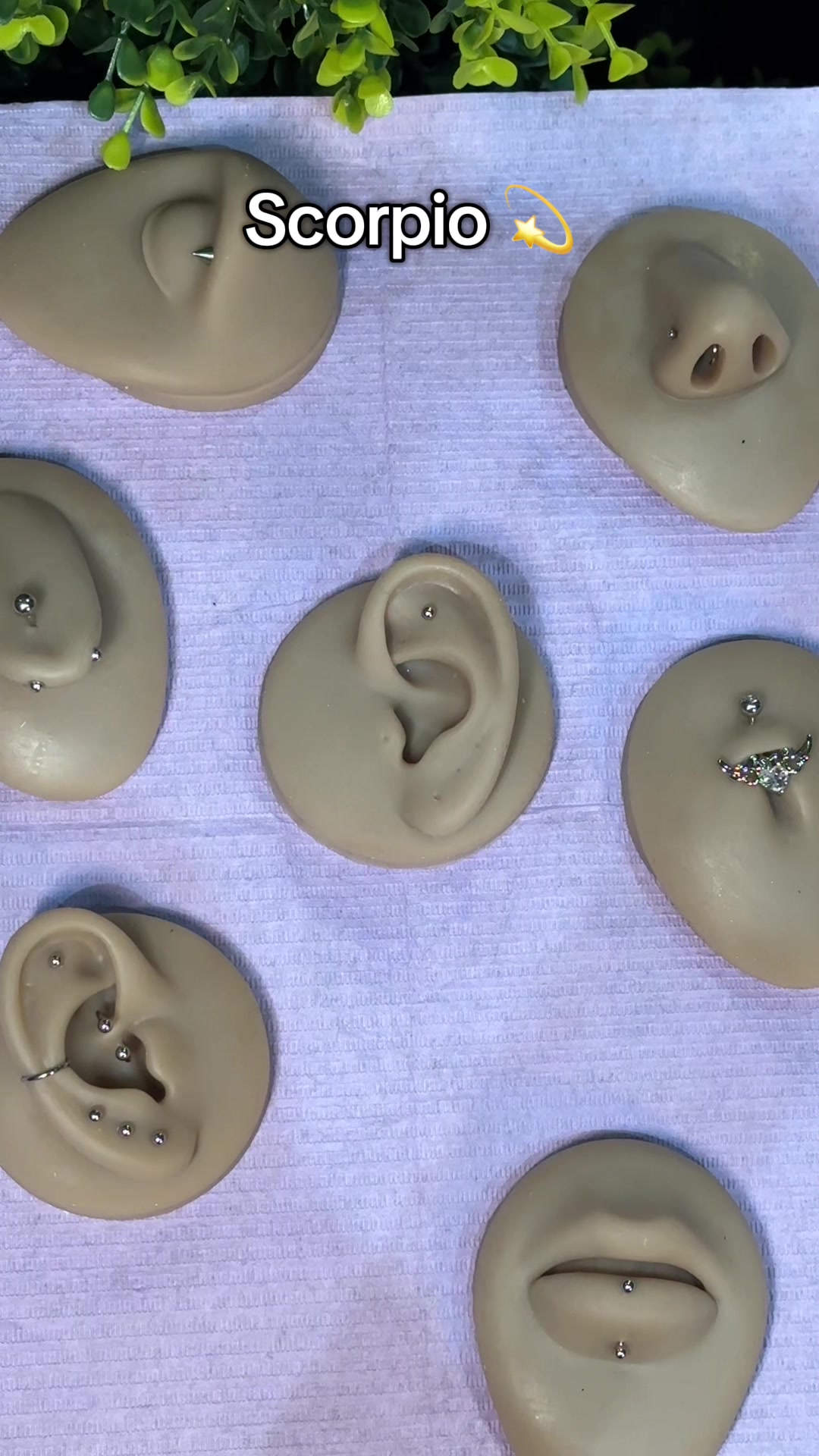 @blum.piercing