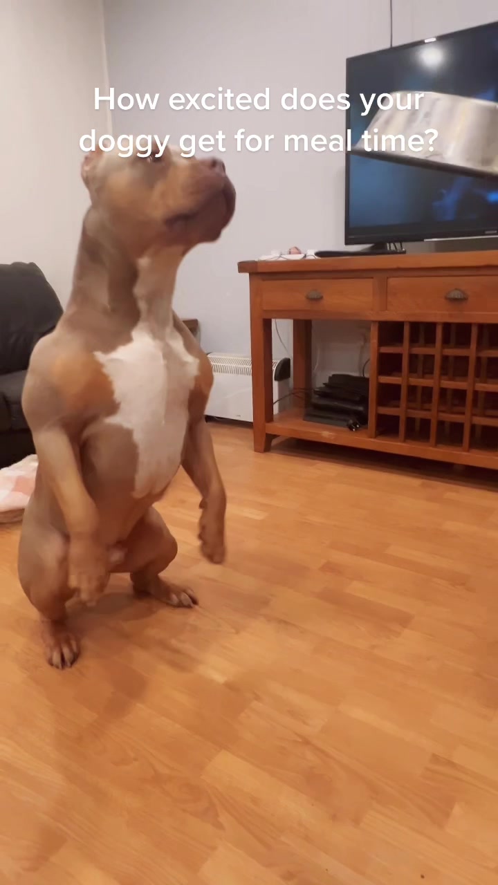@Loco_bully_squad