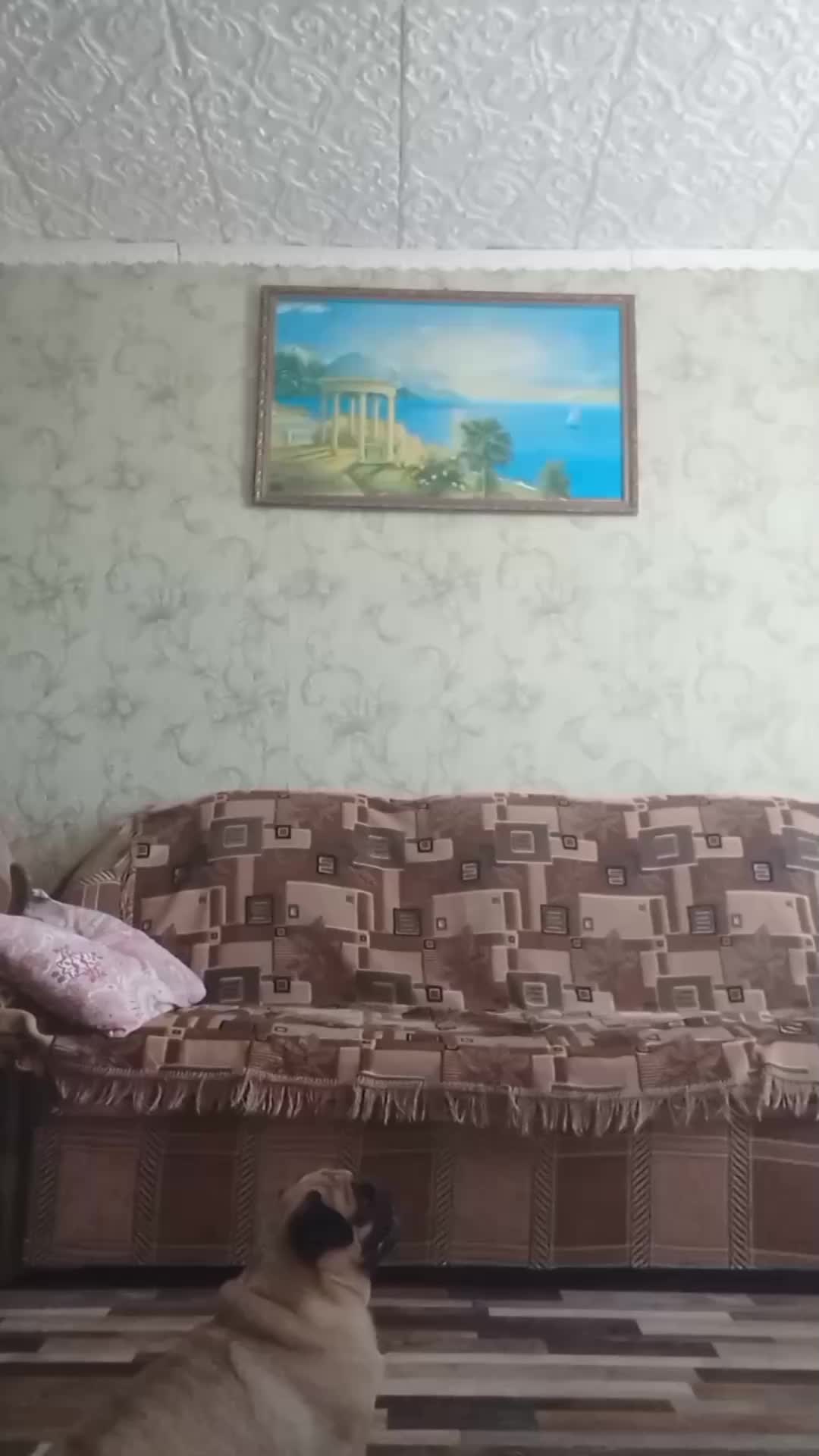 @недопонятый гений