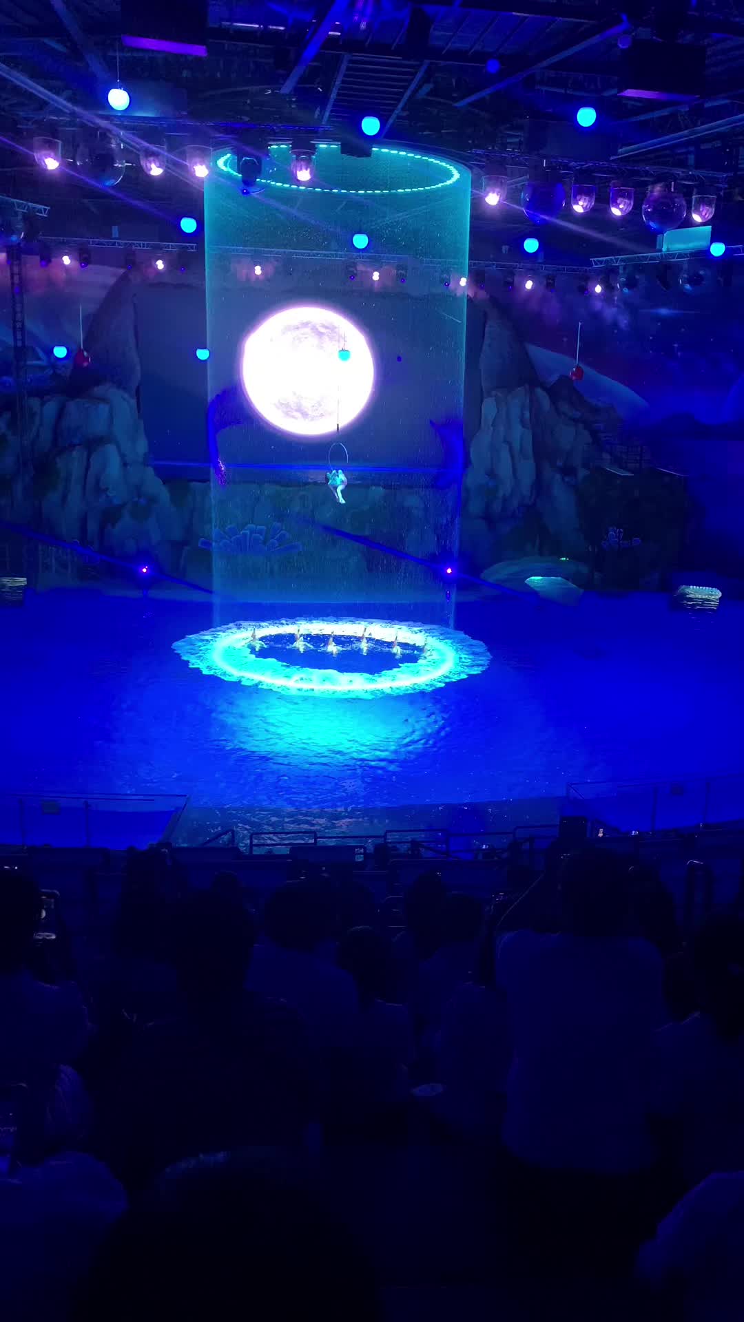 @露 陈