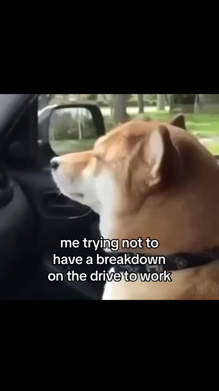 @Relatable Work Memes