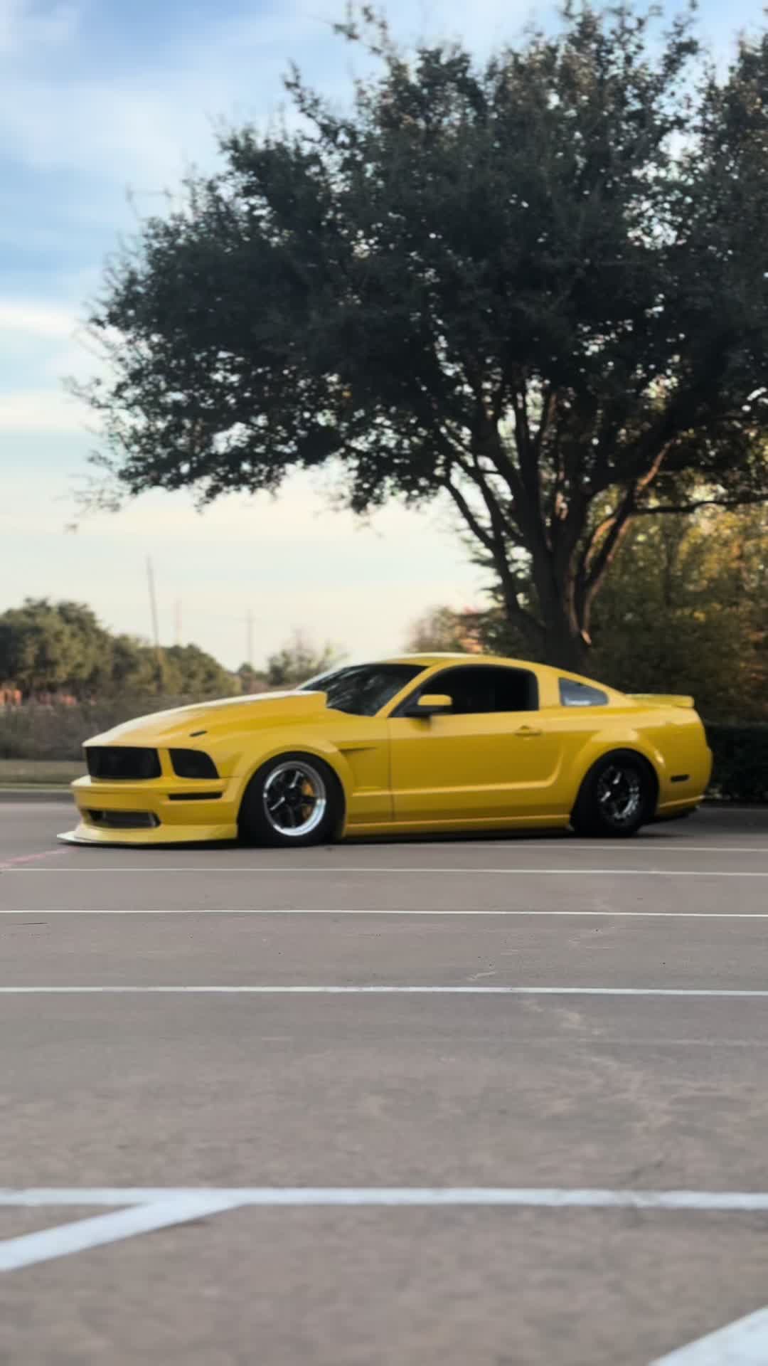@Boosted Banana