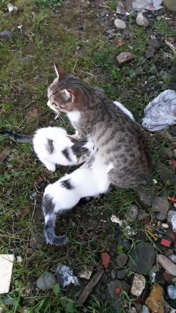 @tuğba6105