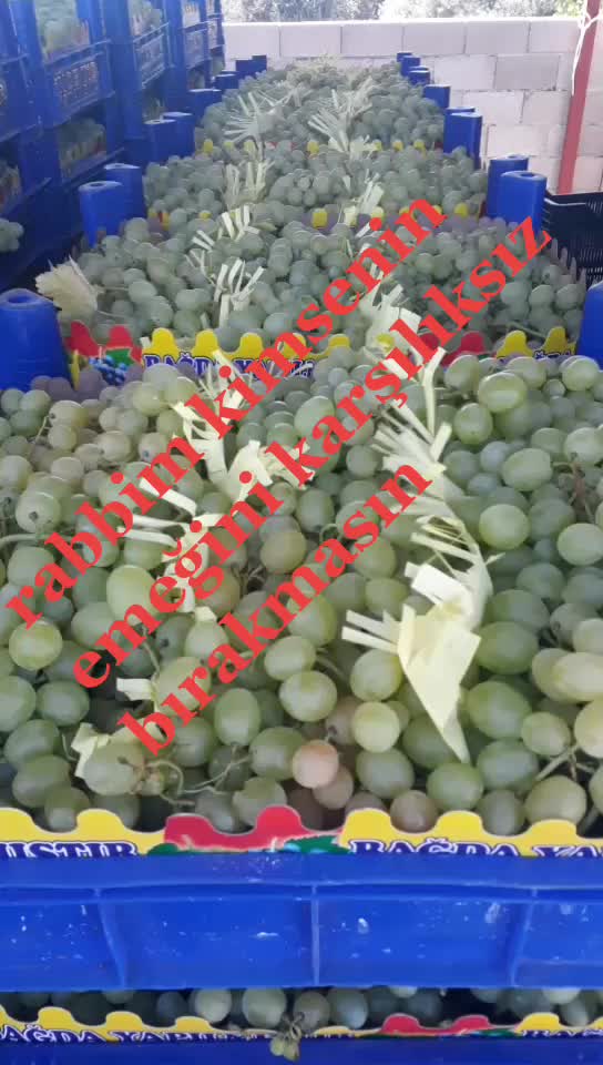 @Duran &Ccedil;etin33