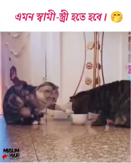 @its_me_choyon