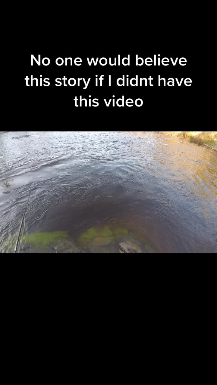 @Hammillfishing