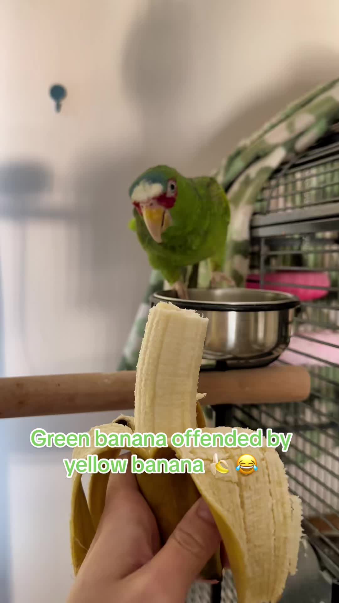 @Peeps