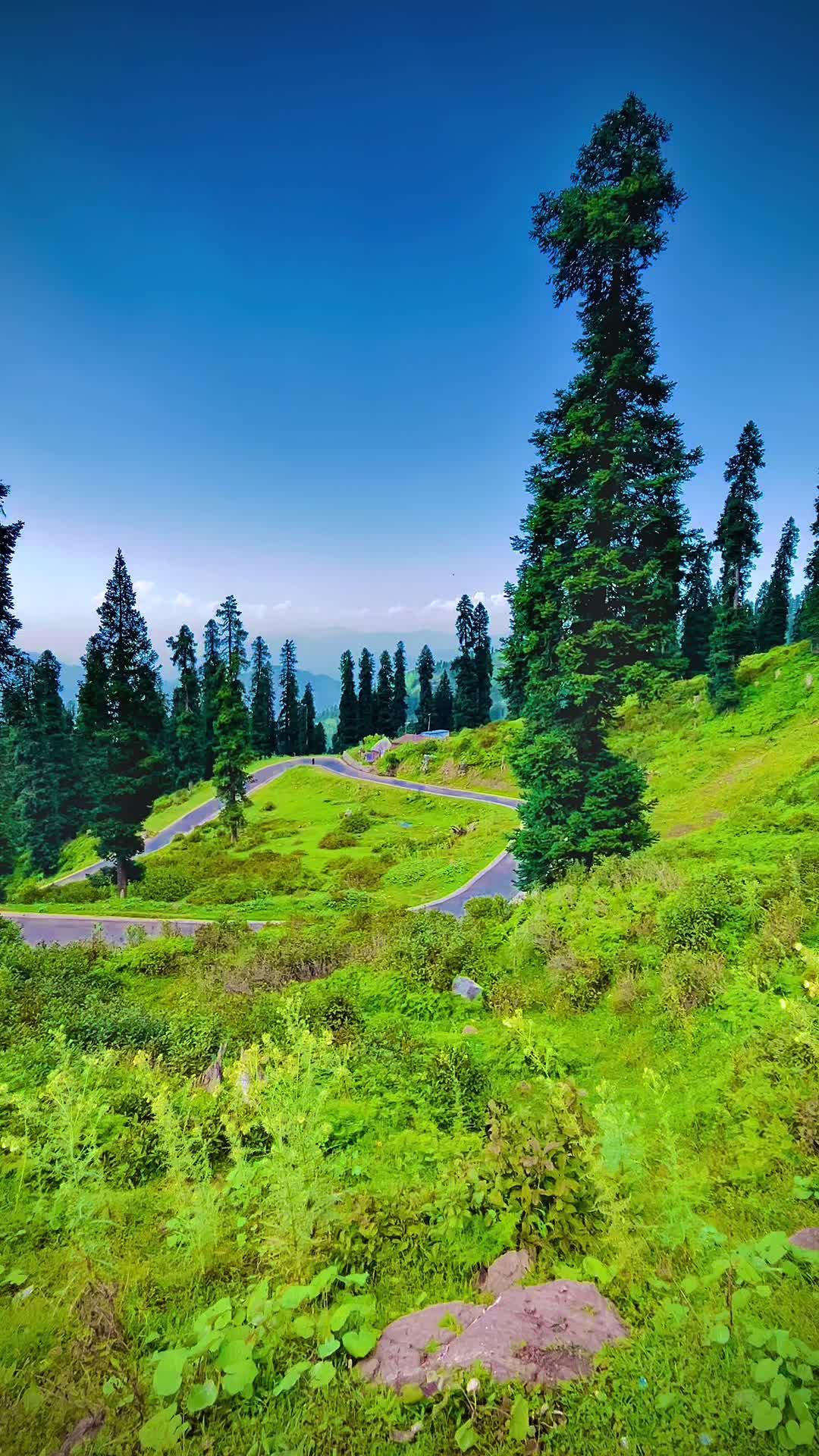 @Kashmir Valley ♥️
