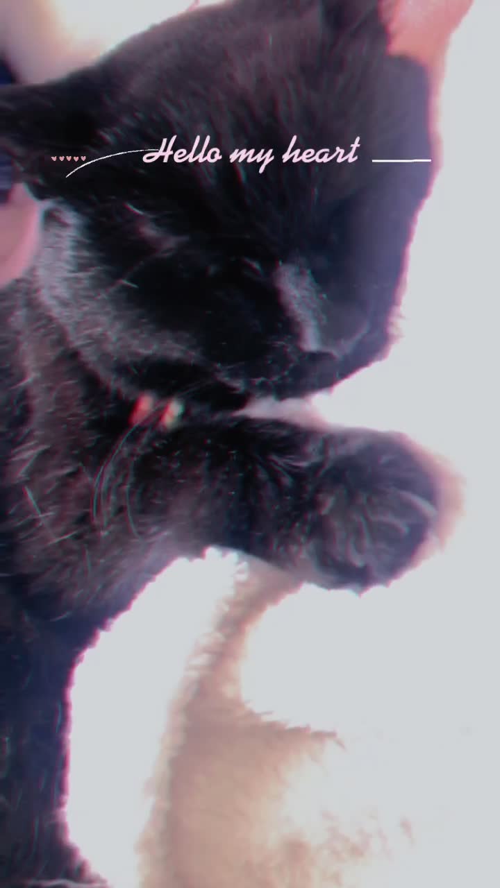 @Einシュタing