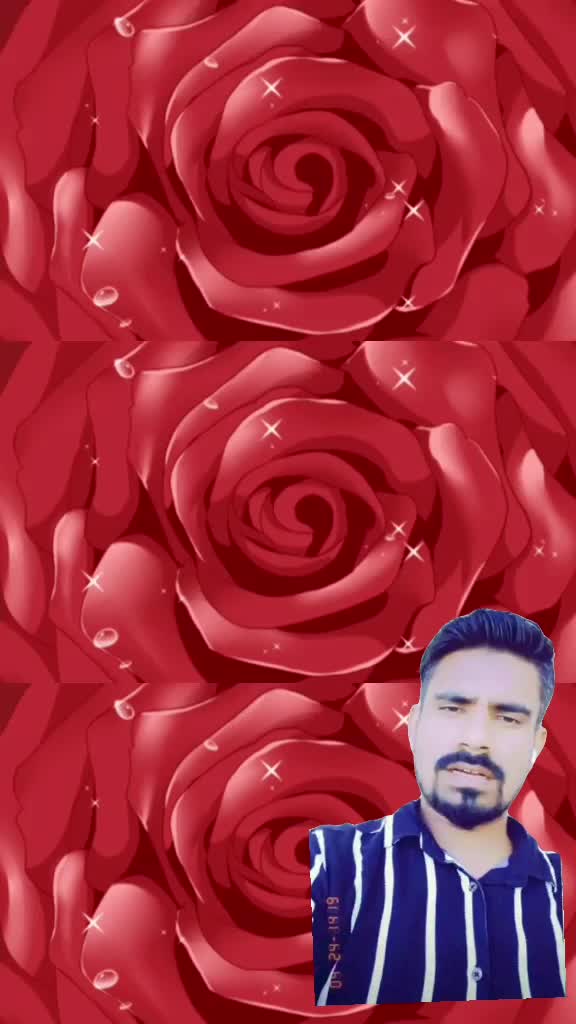 @fatima shaikh
