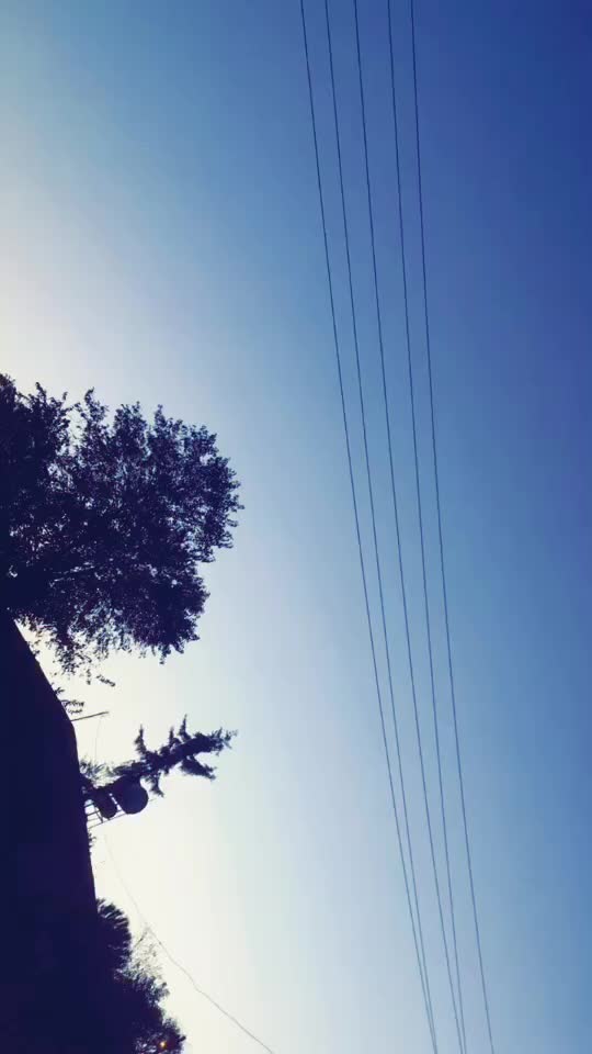 @Asli balik16