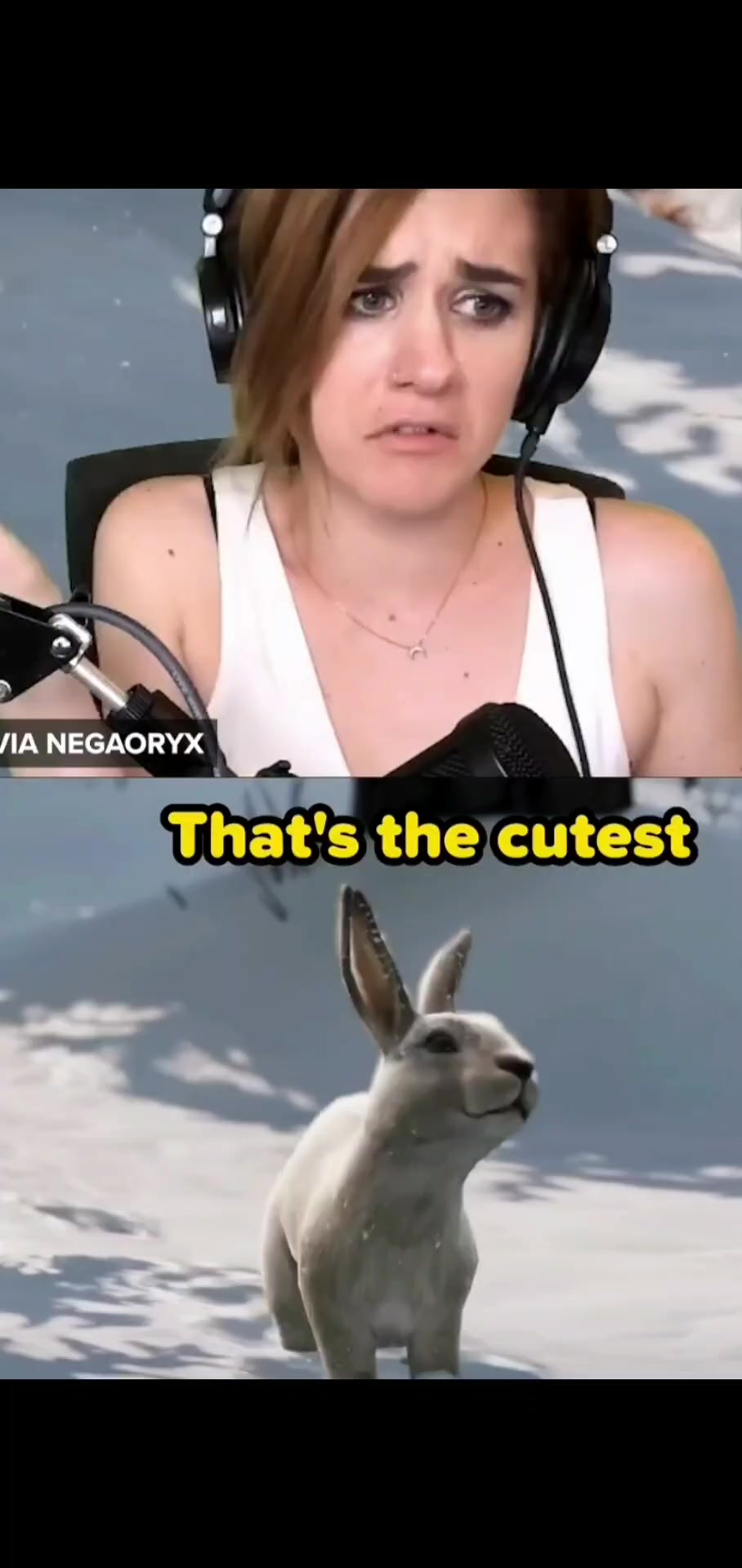 @gekogamin303