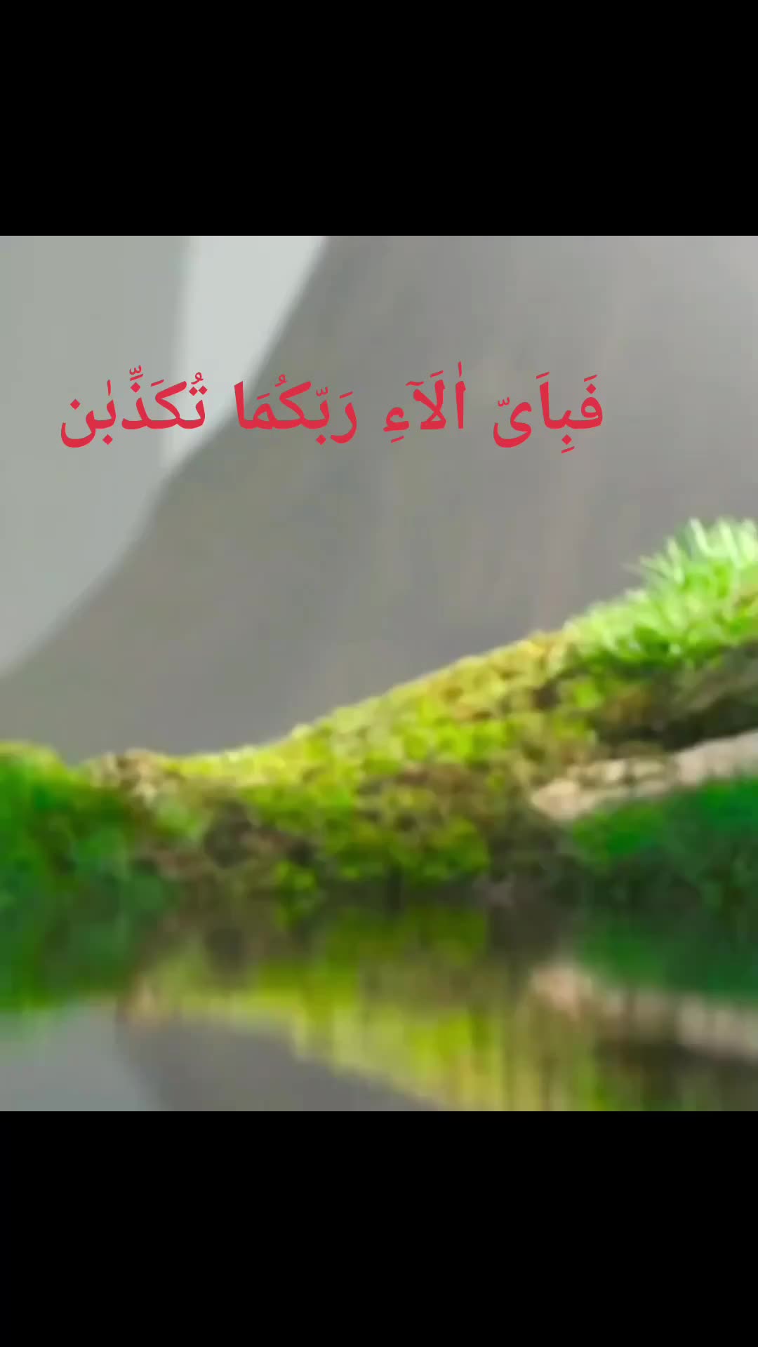 @Ubed Sheikh🇮🇳❤️🇸🇦