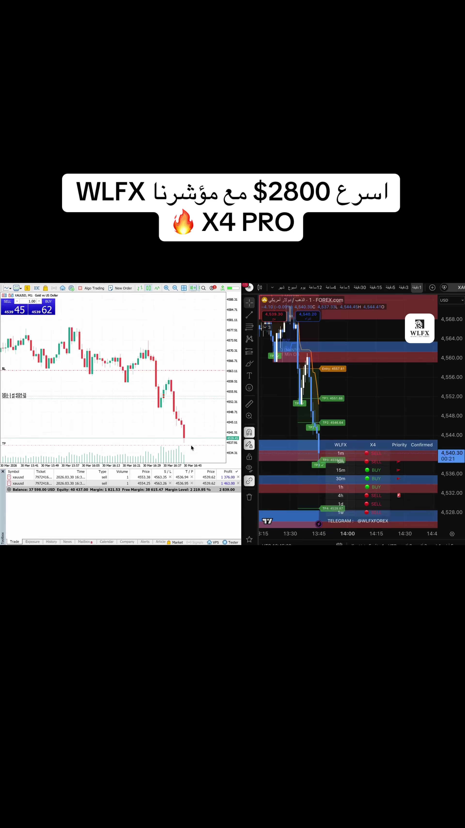 @WLFX.forex