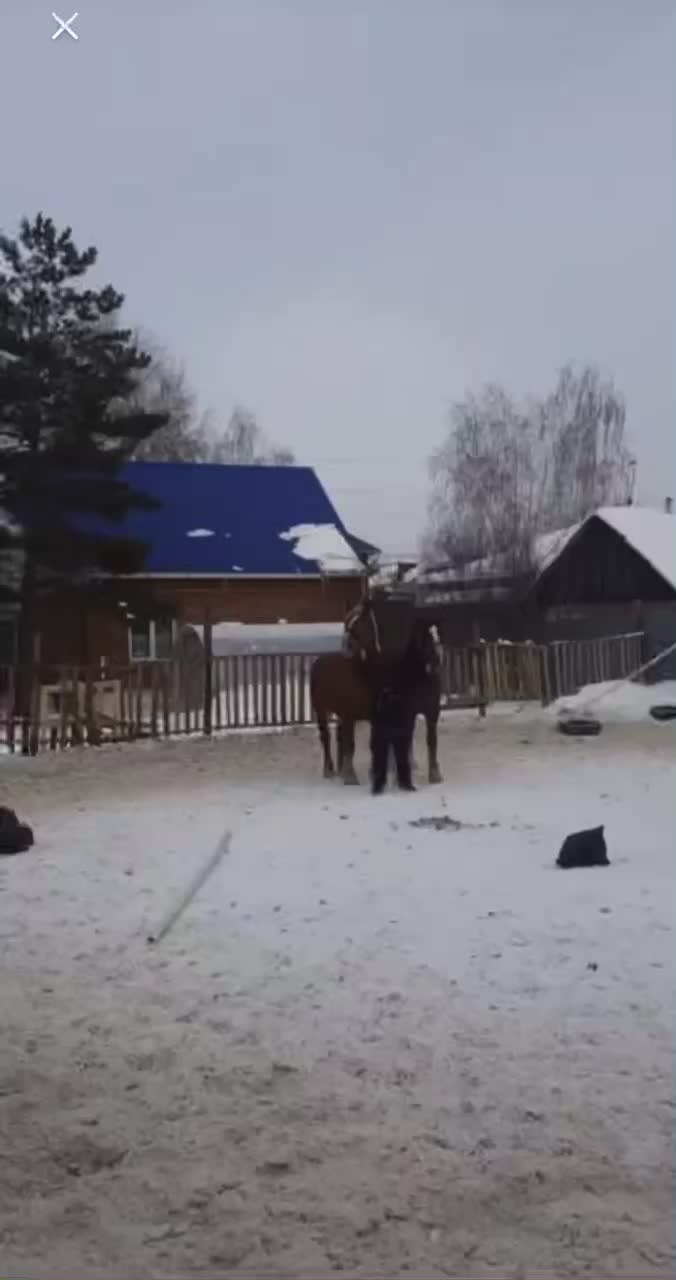 @А_нют_А🤪