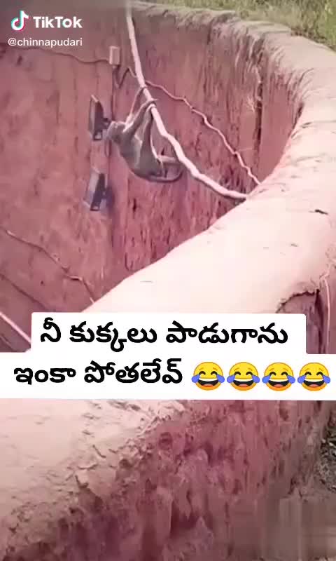 @Kondilla Satiesh