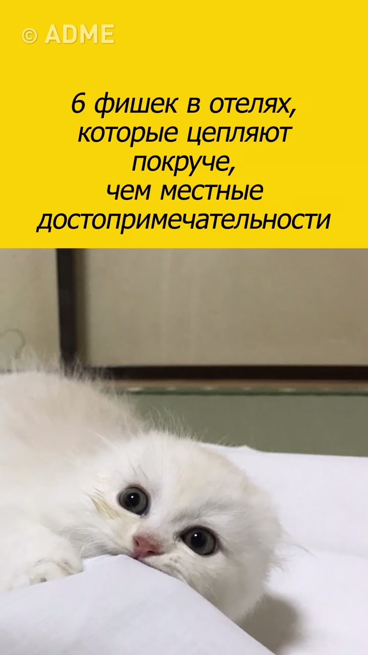 @ADME