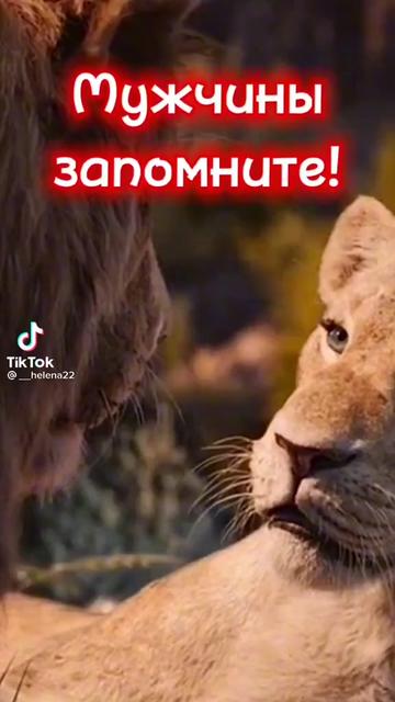 @Tik Tok