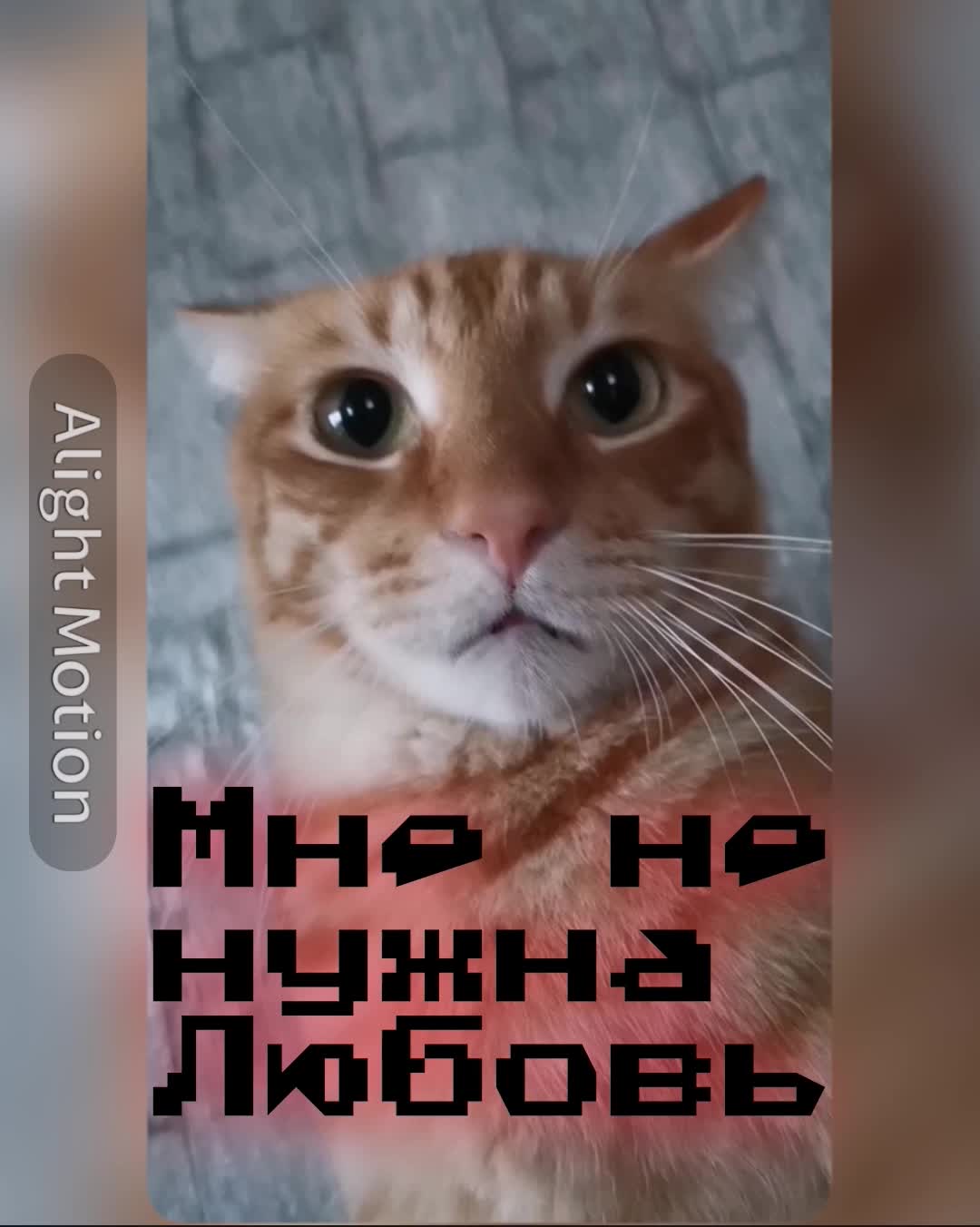 @Пбиджик