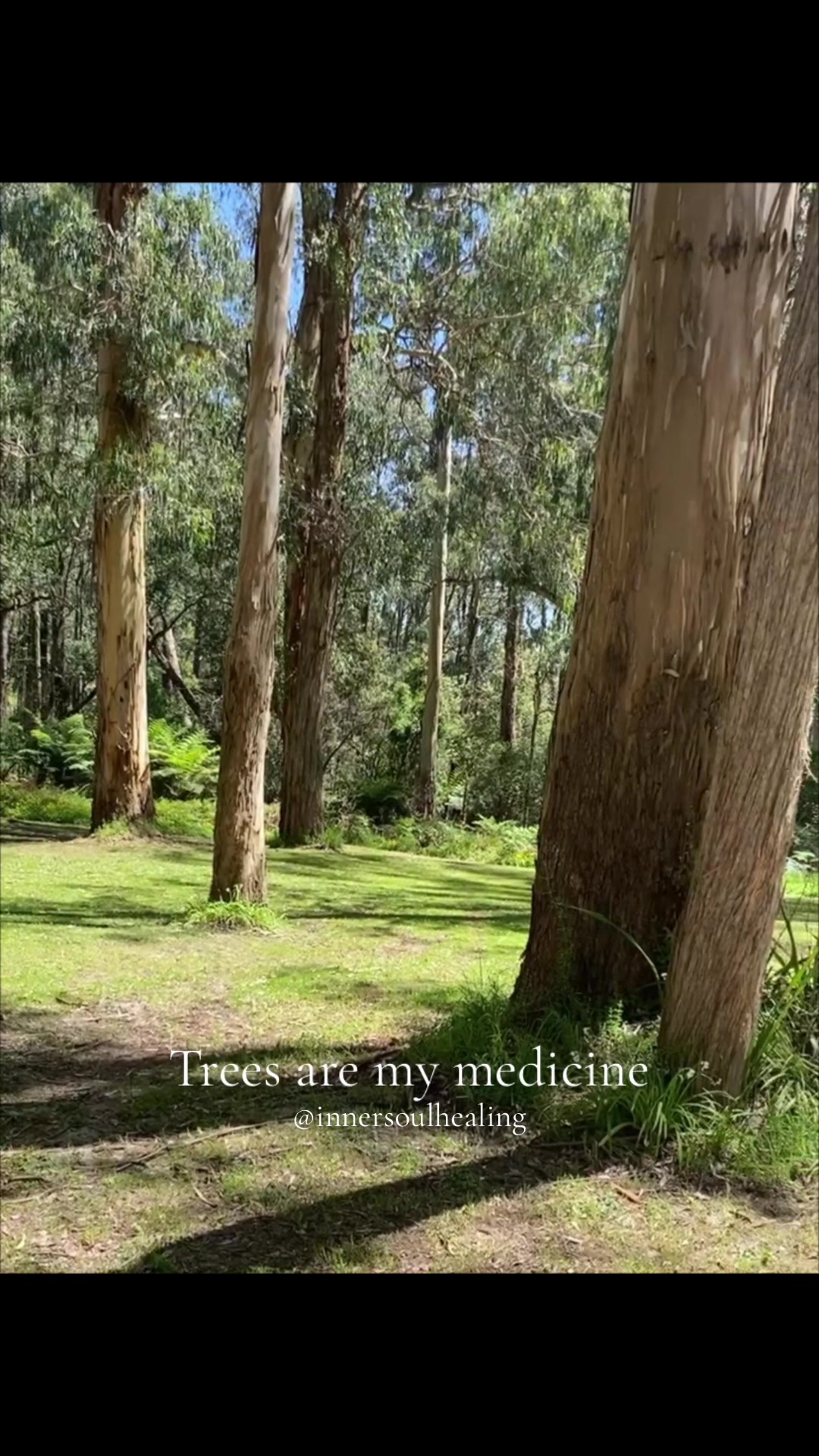 @InnerSoulHealing