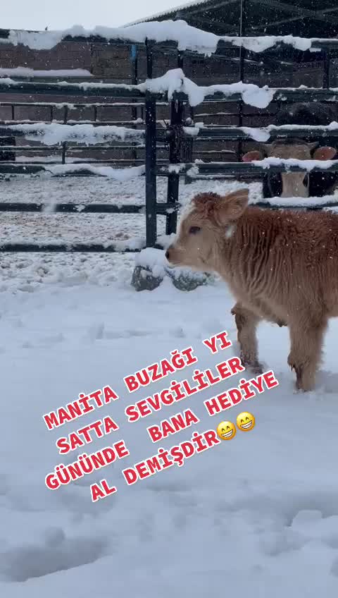 @Emre