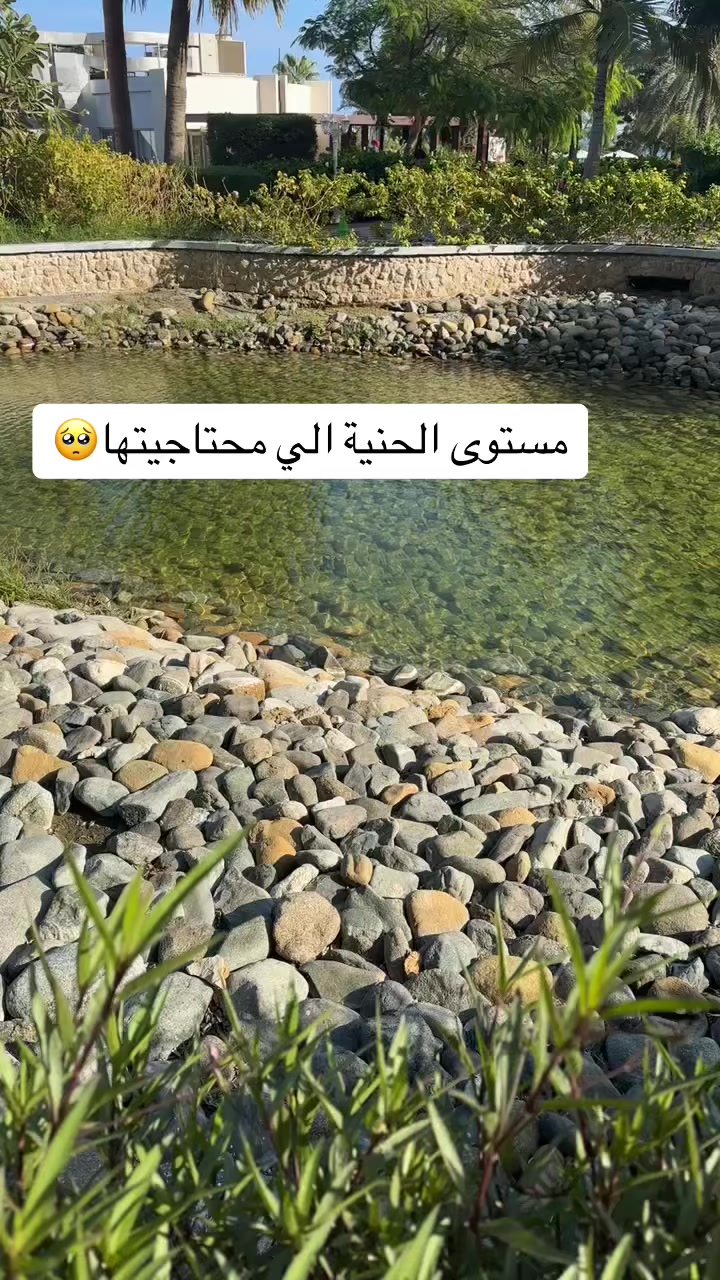 @Noor 🌸