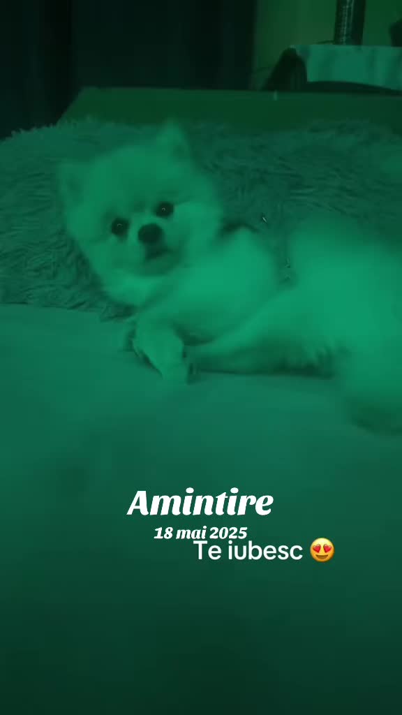 @Timy 🖤